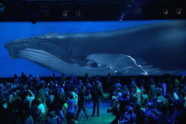 AV-Concepts-Google-IO-Widescreen-Whale-Pre-Show-2